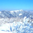 구좌주유소 이미지