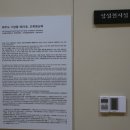 조록나무 뿌리 형상물 이미지