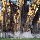 토담마을회관 이미지