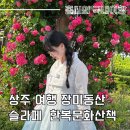 함창시장 | 경북 상주 여행 함창장미동산 슬라페 한복문화산책