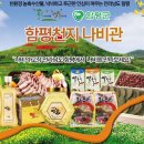 함평천지민물장어