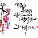 혜성문고 이미지