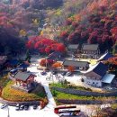 안성맞춤랜드공원7 이미지