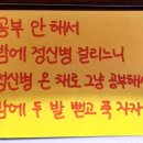 포카포 이미지
