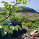 하모니농장 이미지