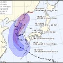 베네수엘라 규모 7.3 강진 및 19호태풍 솔릭 현재위치 이미지