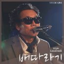 배따라기 이미지
