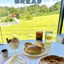 (주)라라브레드잠실점 | 담양 카페 베이커리 맛집 라라브레드 담양점 후기