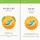 나원2리 | 산넘고 물건너 다리건너는 강천섬 은행나무 힐링캠프