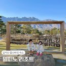 델피노 I 이미지