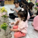 움사랑생태어린이집 | 북구 읍내동어린이집 생태교육 움사랑생태어린이집
