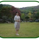 대흥농장 이미지