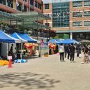 서울홍연초등학교 네이버블로그