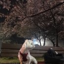 잉크와오피스부산 이미지