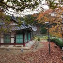 솔향상조 | 가을이 떠나기 직전, 경포호수의 금란정