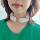 코코링 | 코코링 여름 필수템 코코링 강아지 넥쿨러 사용후기