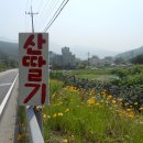 영남목장(제1목장) 이미지