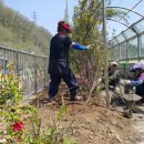 장미로38번길 네이버블로그