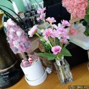 닐카페(Nil cafe) 네이버블로그