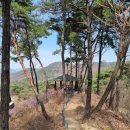 원주굽이길 원4코스 명봉산진달래길 티스토리