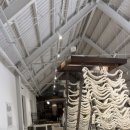 테르메덴 이미지