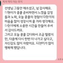 채움피아노음악학원 이미지