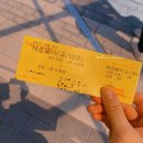 서울 근교 나들이로 동화같은 서울대공원 장미원