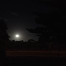보니72