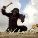 소마앤바디 이미지