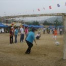 성당초등학교 이미지