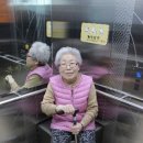 서서울어르신복지관 이미지