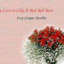 Izzy - My Love Is Like A Red Red Rose 이미지