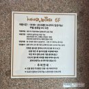 창원 키즈카페 샤샤의놀이터 돌 전 9개월 아기랑 솔직후기