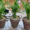 평택지산초등학교병설유치원 이미지