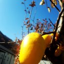 파라다이스펜션 이미지