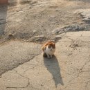 더차다