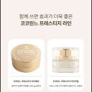 코코린느 이미지
