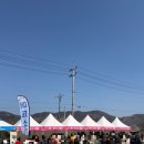 해돋이정보화마을 | 2026 광양 매화축제 방문 후기 / 방문하기 전 꼭 알고가야할 사항!! /매표소 위치 / 주차 / 현실적인...