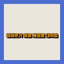 알레르기 이미지