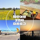 레몬비교래사거리점 | 4월 제주 출장을 가장한 여행 2일차 프롤로그