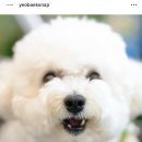 여백 | [본식스냅] 여백스냅 계약후기 📷