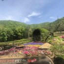 계양산 계양공원 이미지