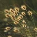 쉬어가는곳 이미지