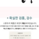 스톤트리
