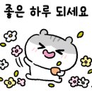 경희대튼튼태권도 이미지