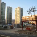 판교중학교 이미지