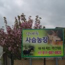 산내들농장 이미지