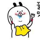 뚝뽀끼