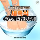 별하 가람합기월드 | 울산 남구 삼산동 삼신초등학교 삼신초 옆 합기도 체육관 별하가람합기월드 스승의날 이벤트 🌟