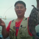 해조호 이미지
